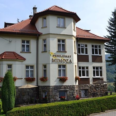 Pensjonat Mimoza Świeradów-Zdrój Exterior foto