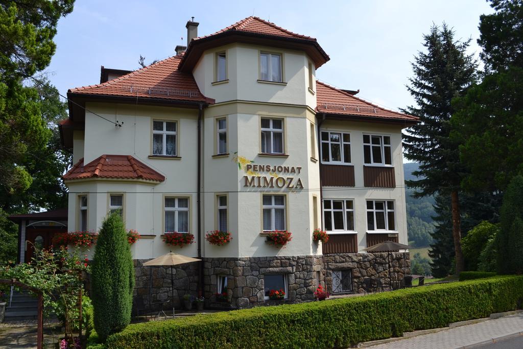 Pensjonat Mimoza Świeradów-Zdrój Exterior foto