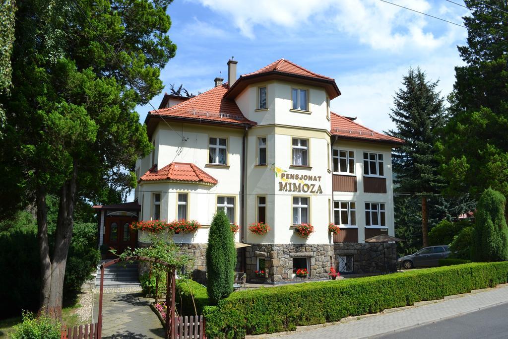 Pensjonat Mimoza Świeradów-Zdrój Exterior foto